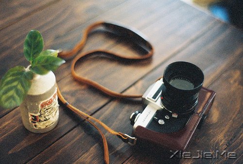 晚安心语：成熟的一面是给外人看的，幼稚的一面是给爱人看的 (2)