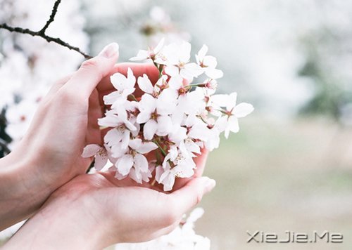 在时间的渡口，我们皆是过客 (1)