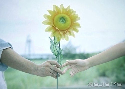 在时间的渡口，我们皆是过客 (2)