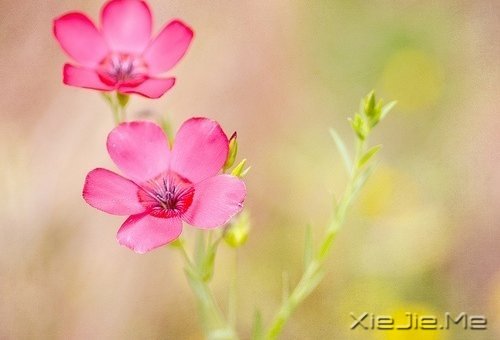 在时间的渡口，我们皆是过客 (3)
