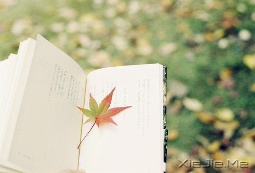 在时间的渡口，我们皆是过客 (7)