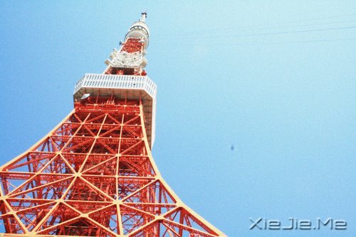 今天你所受的伤，只会让你明天更坚强 (1)