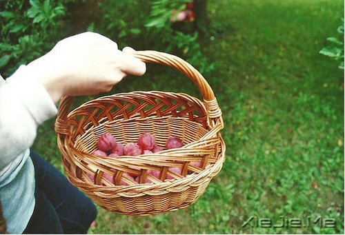 今天你所受的伤，只会让你明天更坚强 (2)