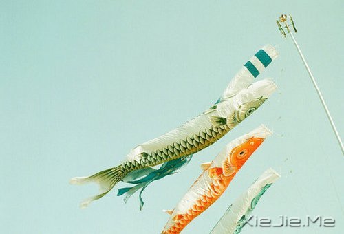 今天你所受的伤，只会让你明天更坚强 (4)