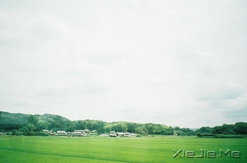 早安心语：不必仰望别人，自己亦是风景 (3)