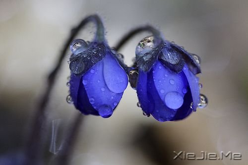 早安心语：沙漏记得，我们遗忘的时光 (6)