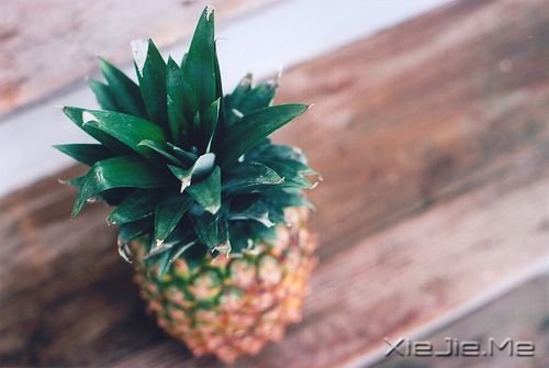 早安心语：不是因为我执着，而是因为你值得 (3)