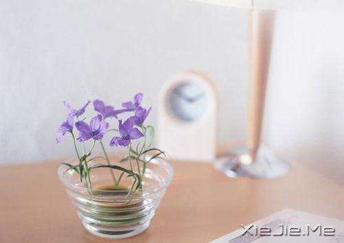 晚安心语：累了，蹲下来抱抱自己 (5)